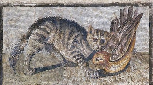 rzymska mozaika kota